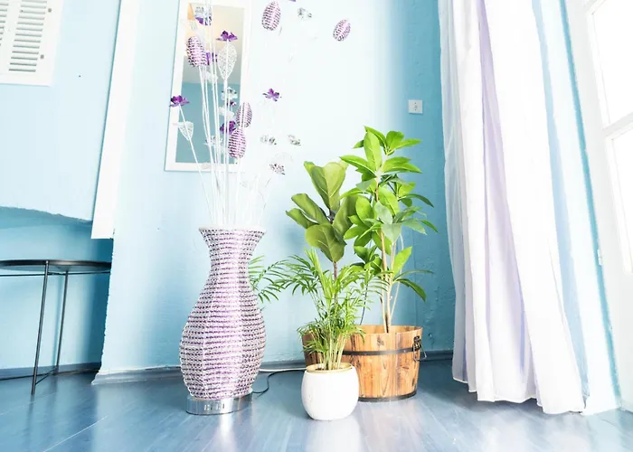 Bed & Breakfast More